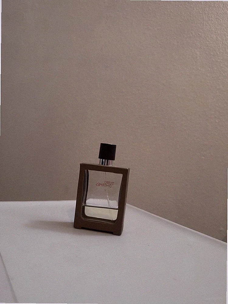 Hermès Terre d'Hermès Unisex Eau de Toilette Spray Perfume Fragrance Bottle